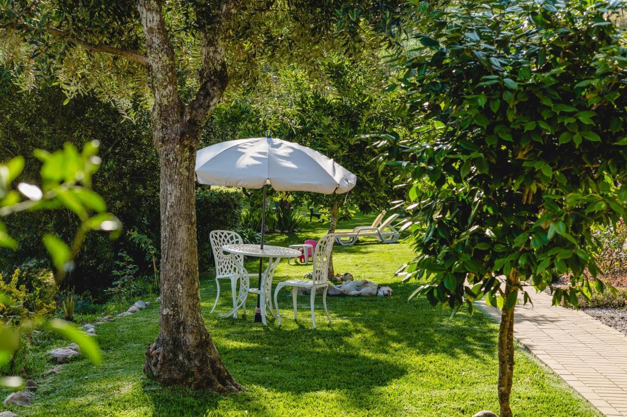 Magnolias Cottage Lousã Zewnętrze zdjęcie